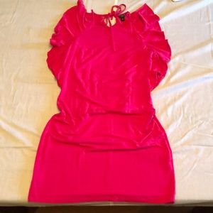 Ann Taylor Petite Dress